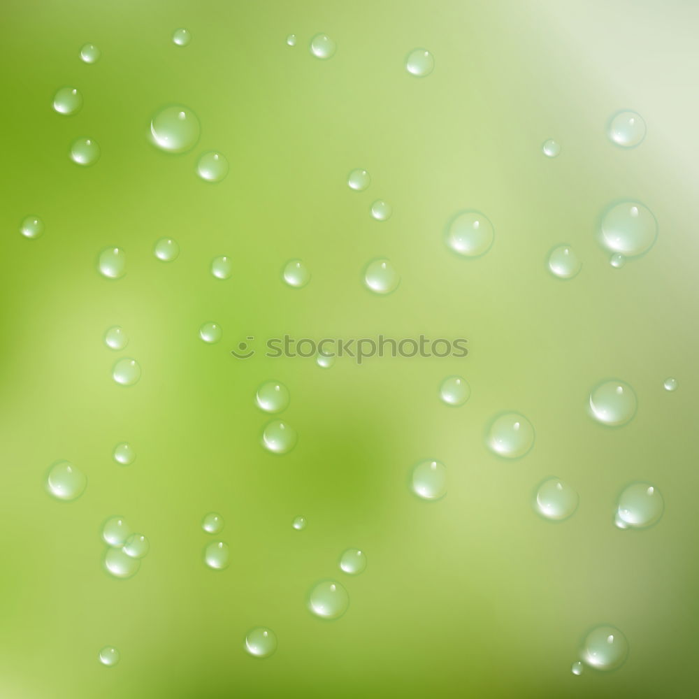 Similar – Image, Stock Photo drop on the green leaf