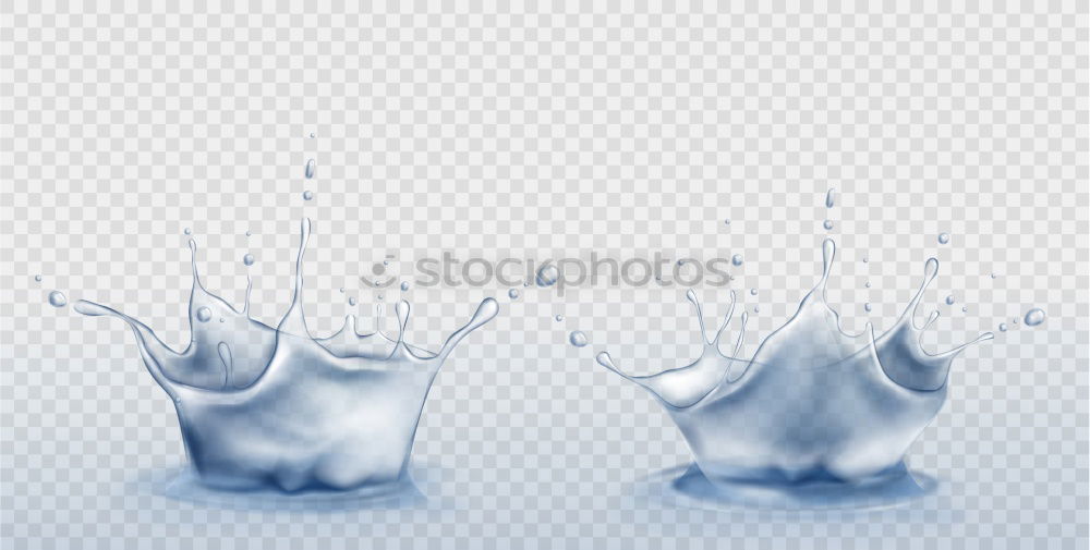 Image, Stock Photo lacquerhase_08