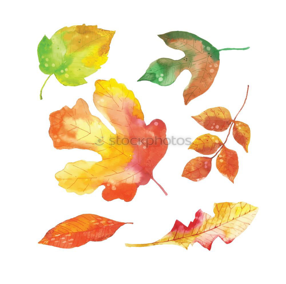 Similar – Image, Stock Photo Fresh into autumn…(IX)