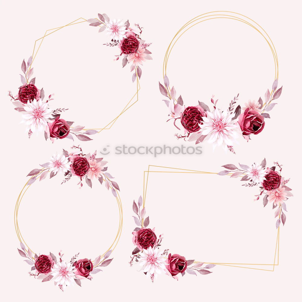 Similar – Image, Stock Photo Pink flower frame on white