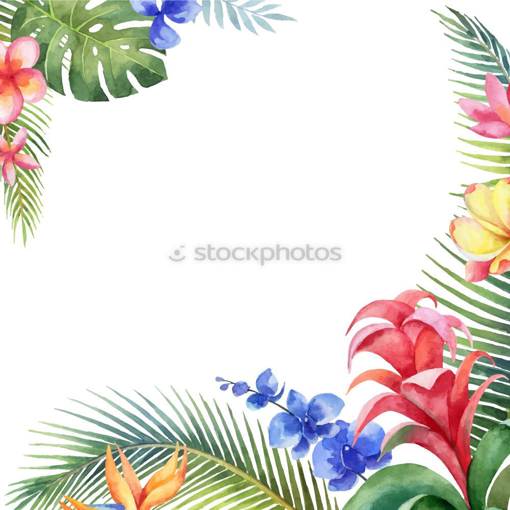 Similar – Tropical Summer Holiday Background