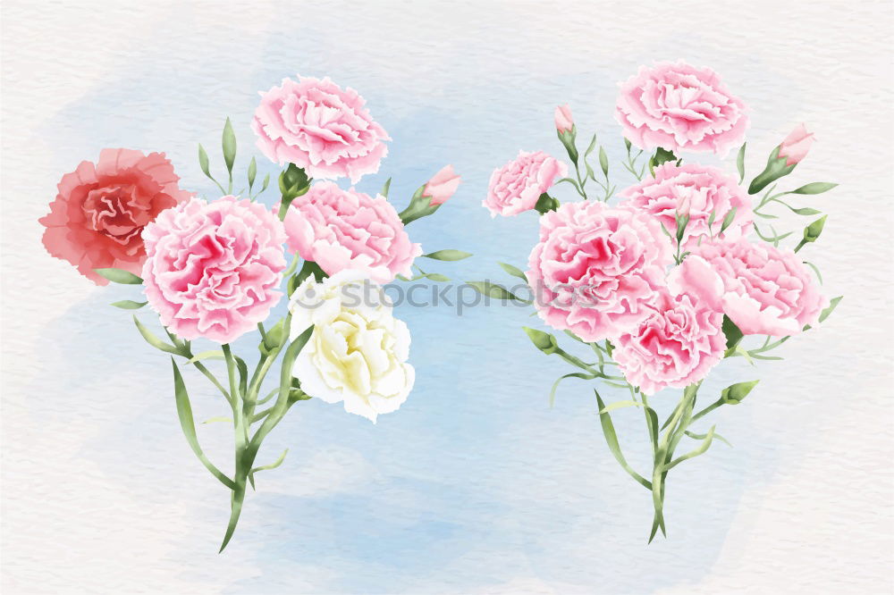 Similar – Image, Stock Photo Tulips Bouquet of flowers