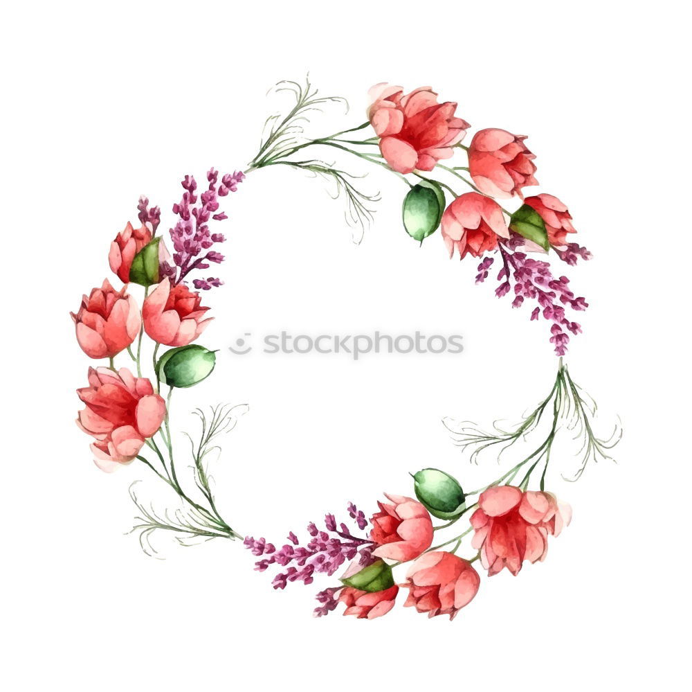 Similar – Flowers on a white background