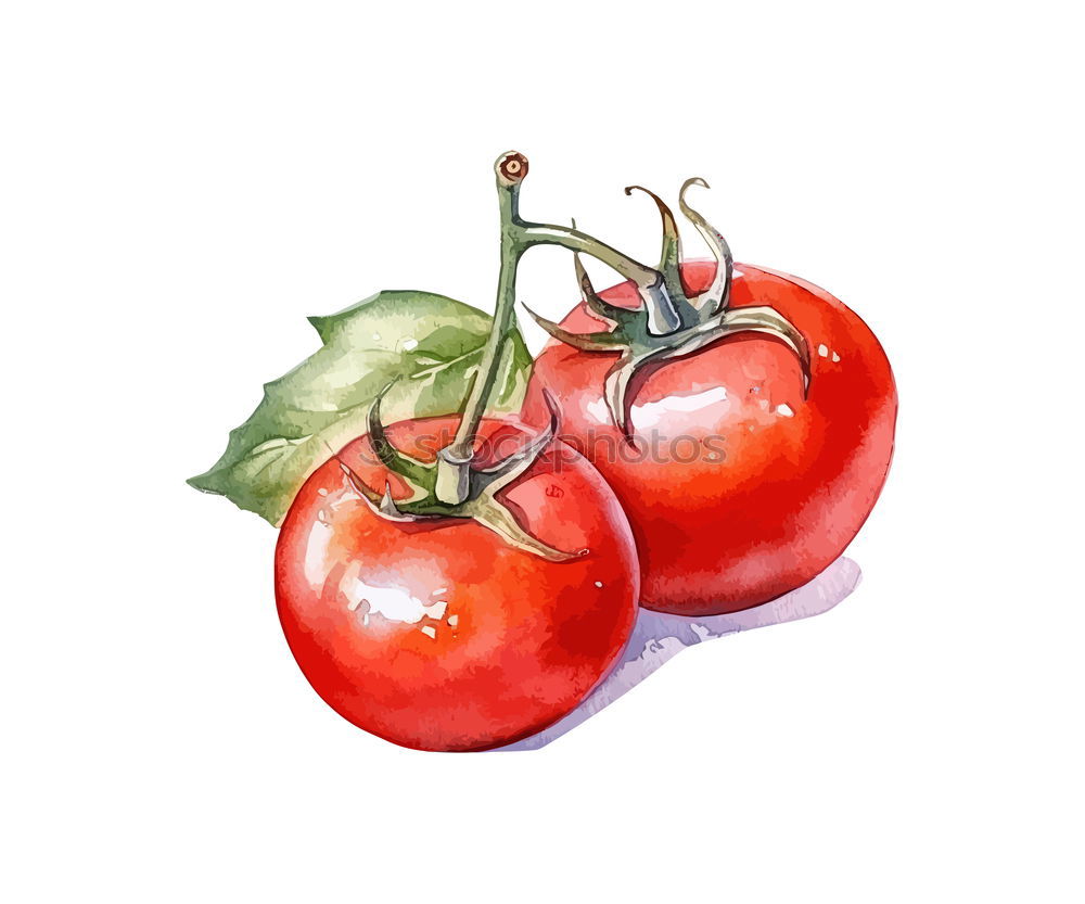 Similar – tomato Red Healthy Tomato