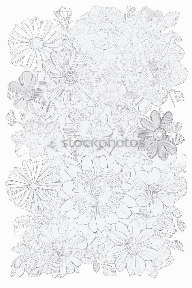 Similar – Image, Stock Photo White flowers on white