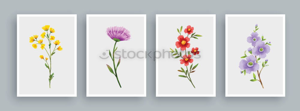 Similar – Image, Stock Photo dried flowers in a glass frame