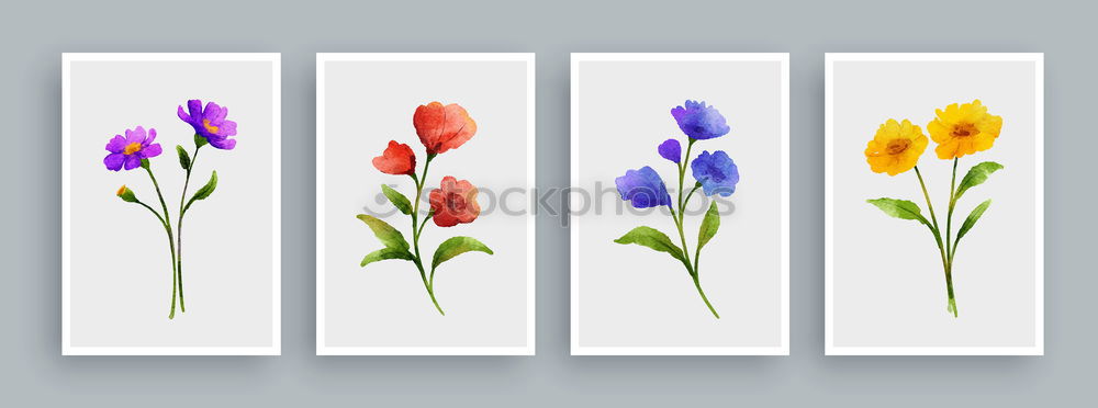 Similar – Image, Stock Photo dried flowers in a glass frame