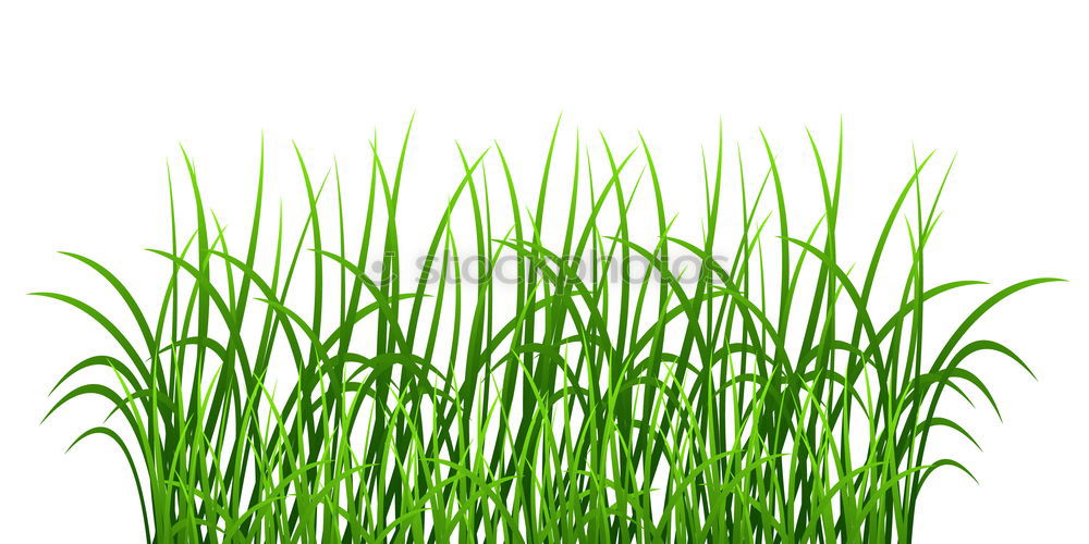 Similar – clean gras die zweite