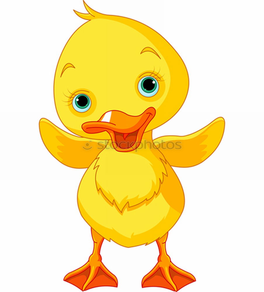 Similar – squeaky duck Squeak duck