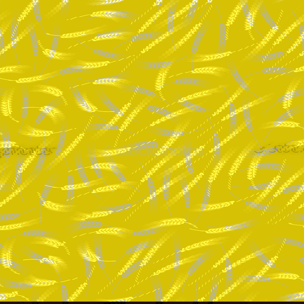 Similar – Image, Stock Photo Jammy half banana on yellow